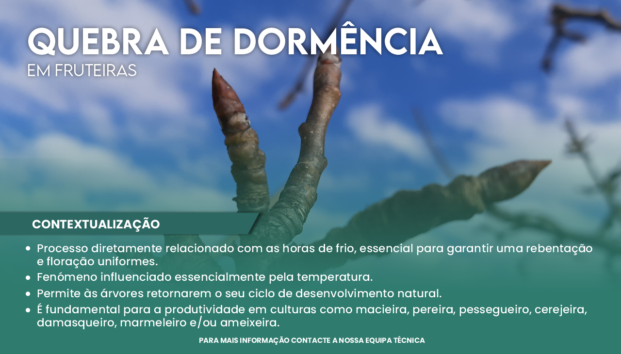 QUEBRA DE DORM�NCIA EM FRUTEIRAS