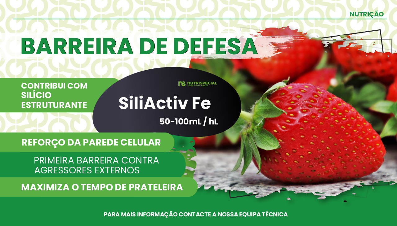 SILIACTIV FE - BARREIRA DE DEFESA