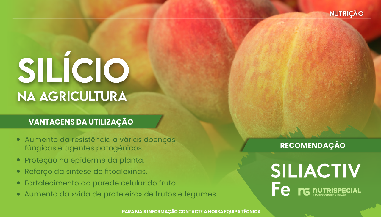 SIL�CIO NA AGRICULTURA