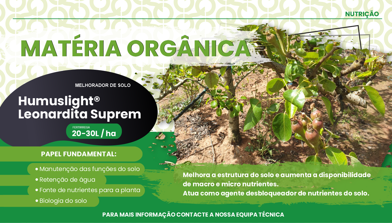MAT�RIA ORG�NICA
